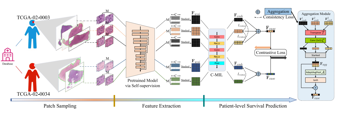 Cancer Survival Prediction from Whole Slide Images with Self-Supervised Learning and Slide Consistency