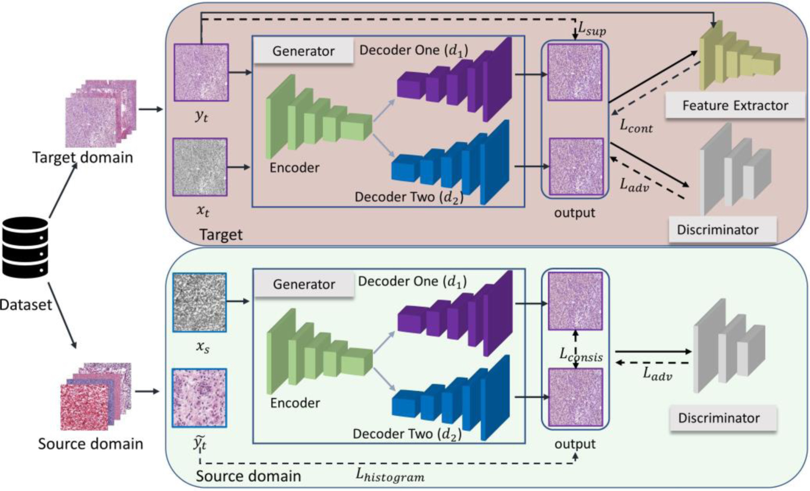 Colour Adaptive Generative Networks for Stain Normalisation of Histopathology Images