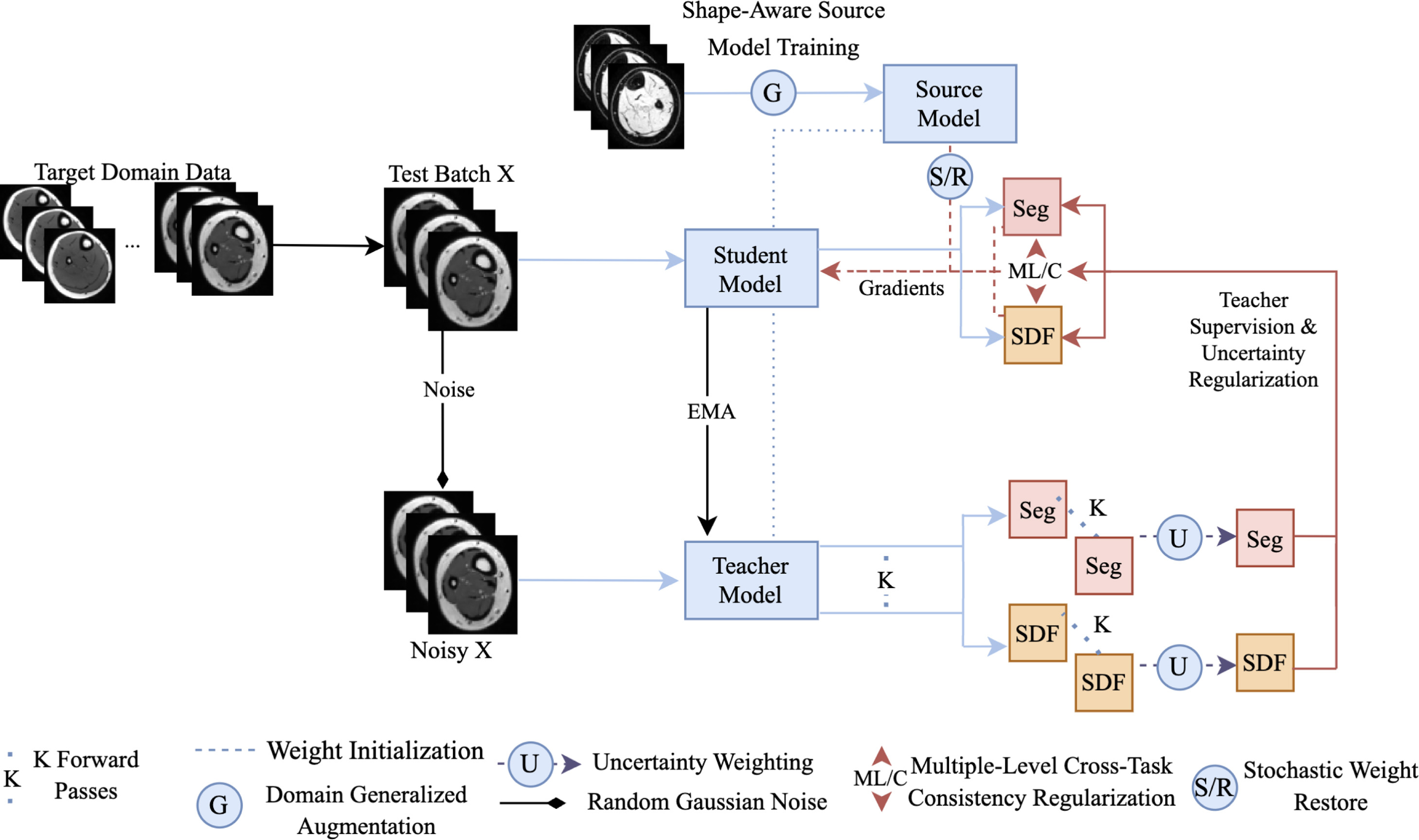 Improving cross-domain generalizability of medical image segmentation using uncertainty and shape-aware continual test-time domain adaptation