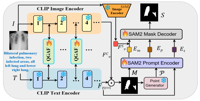 Location-Aware Parameter Fine-Tuning for Multimodal Image Segmentation