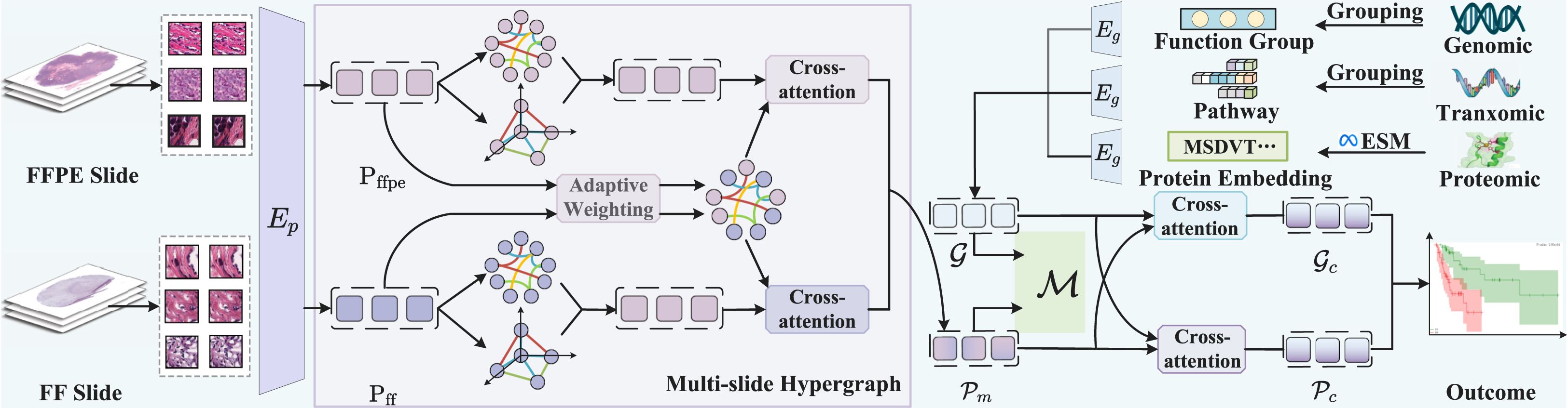 M3Surv: Fusing Multi-Slide and Multi-Omics for Memory-Augmented Robust Survival Prediction