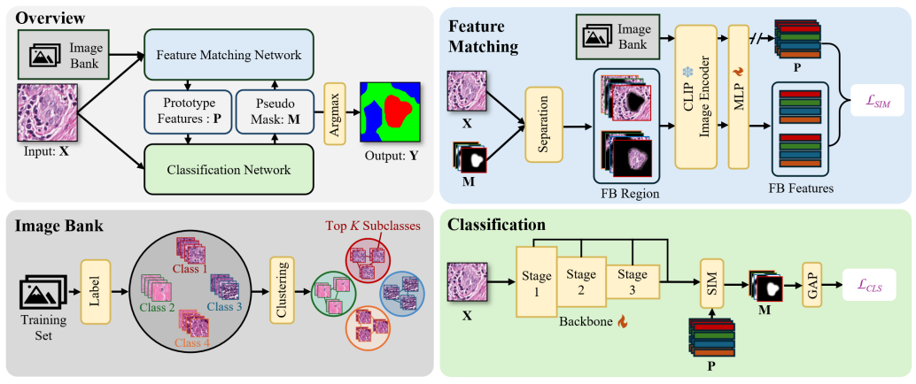 Prototype-Based Image Prompting for Weakly Supervised Histopathological Image Segmentation