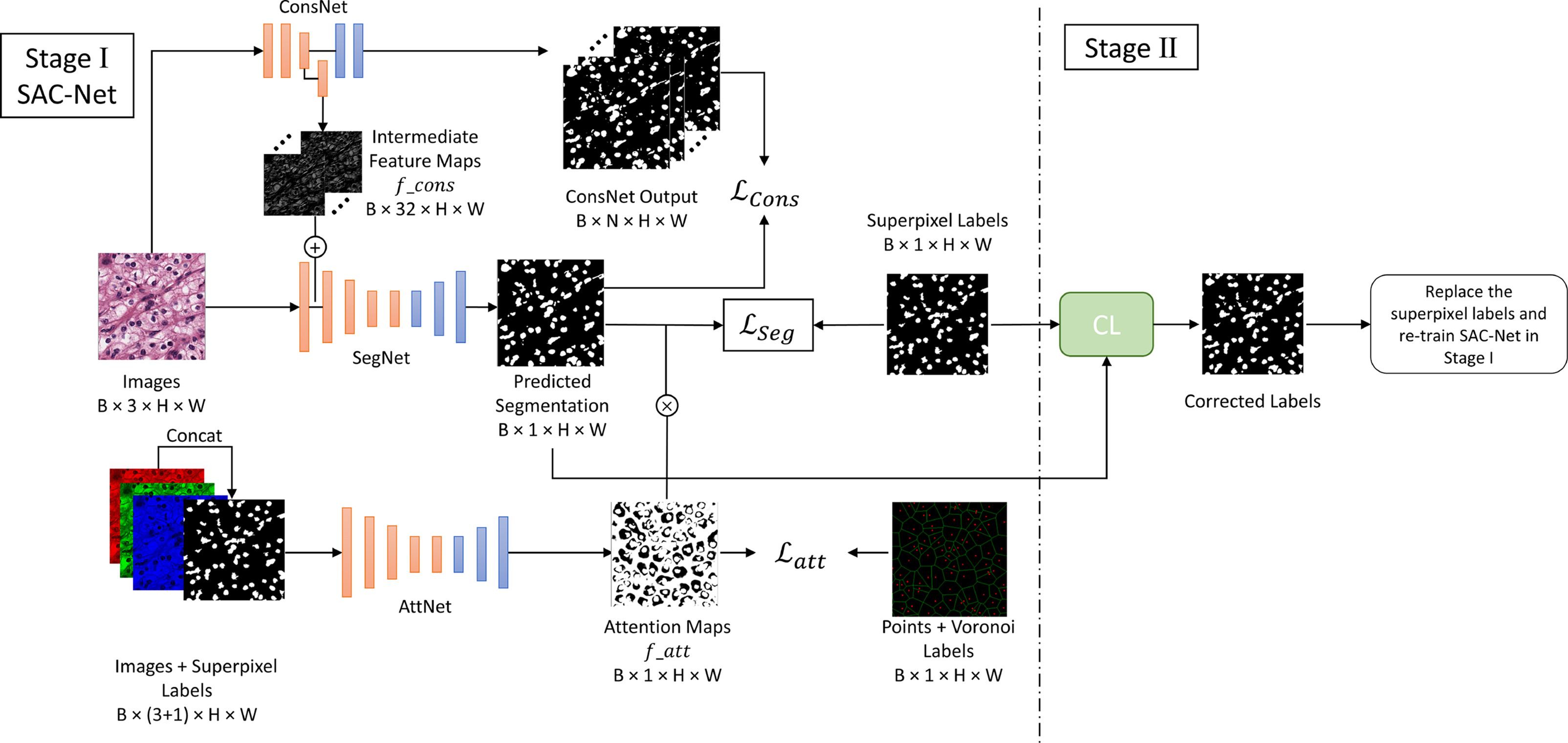 SAC-Net: Learning with weak and noisy labels in histopathology image segmentation