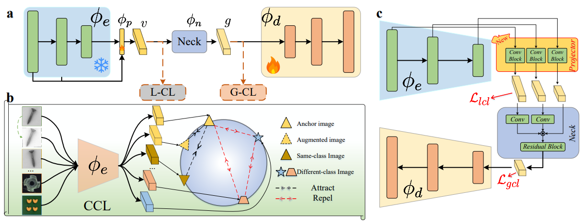 Salvaging the Overlooked: Leveraging Class-Aware Contrastive Learning for Multi-Class Anomaly Detection