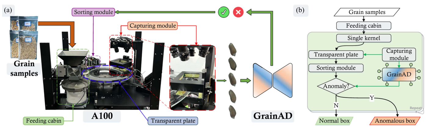 GrainBrain: Multiview Identification and Stratification of Defective Grain Kernels